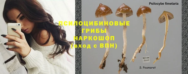 прущая мука Елабуга