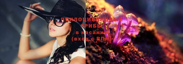 прущая мука Елабуга