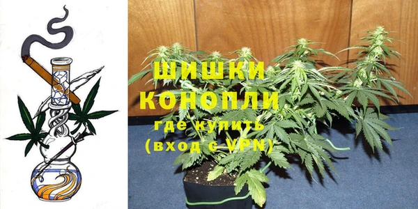 наркотики Щигры