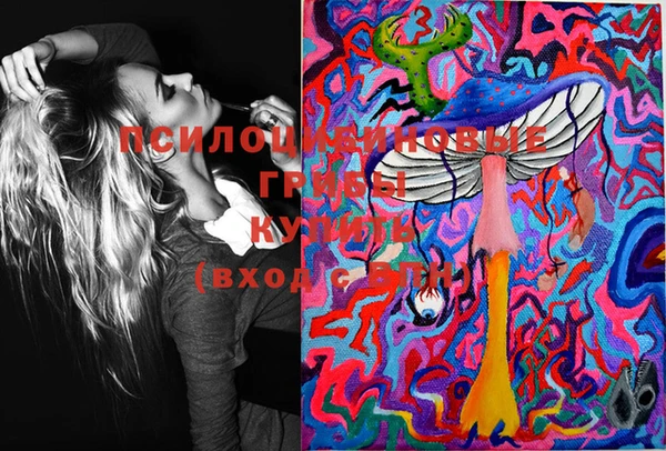 таблы Елизово