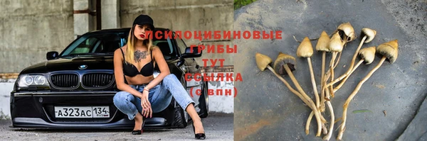 прущая мука Елабуга