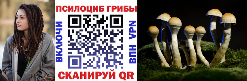 Галлюциногенные грибы мухоморы  закладка  Копейск 