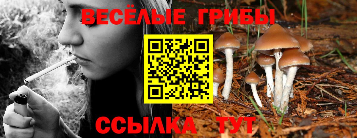 Экстази  Копейск  Бошки Шишки  NBOMe  ГАШ  КОКАИН  МЕФ кристаллы  Вход с VPN 