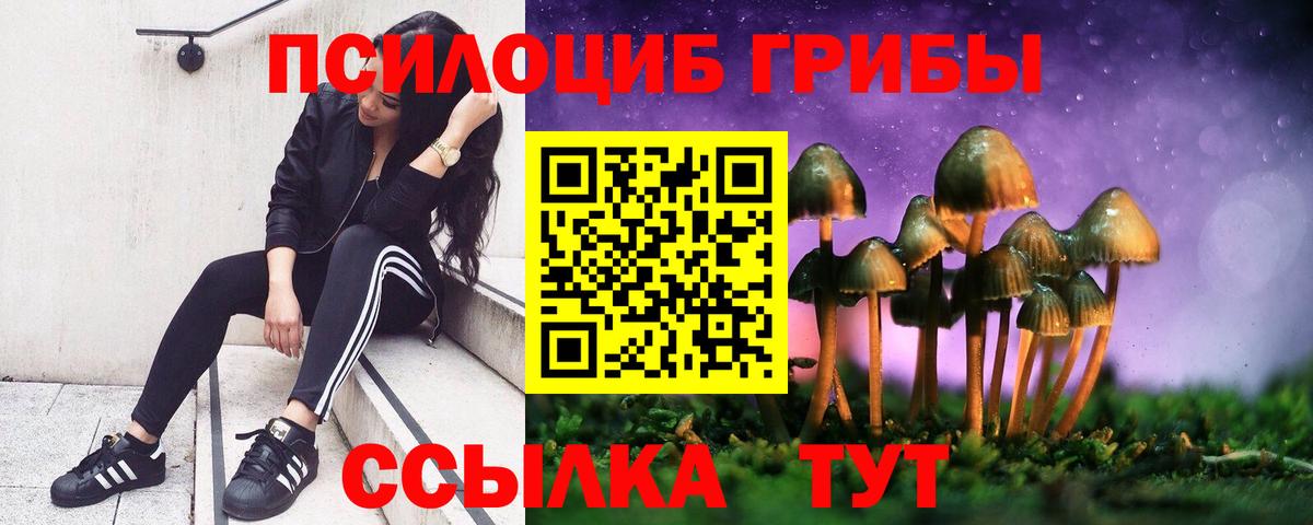 Псилоцибиновые грибы Psilocybe  Галлюциногенные грибы мицелий  Вход с VPN  где купить   Копейск 